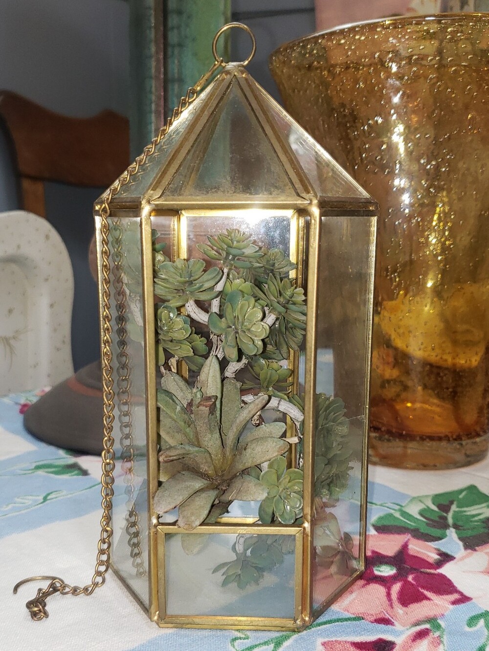 Vintage Hanging Glass & Brass Terrarium
